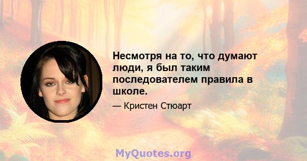 Несмотря на то, что думают люди, я был таким последователем правила в школе.