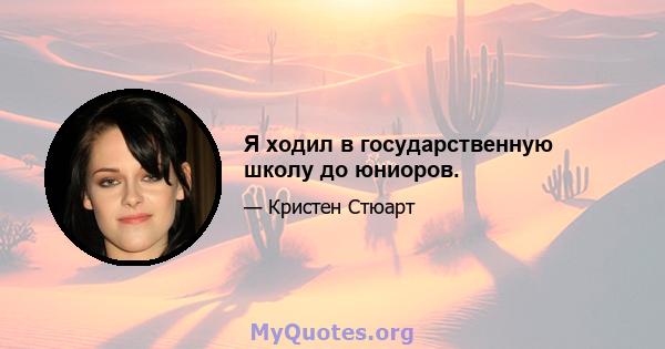 Я ходил в государственную школу до юниоров.