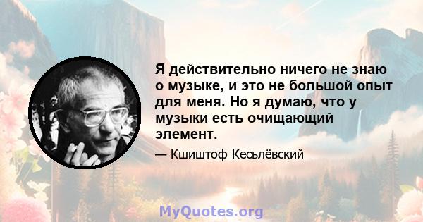 Я действительно ничего не знаю о музыке, и это не большой опыт для меня. Но я думаю, что у музыки есть очищающий элемент.