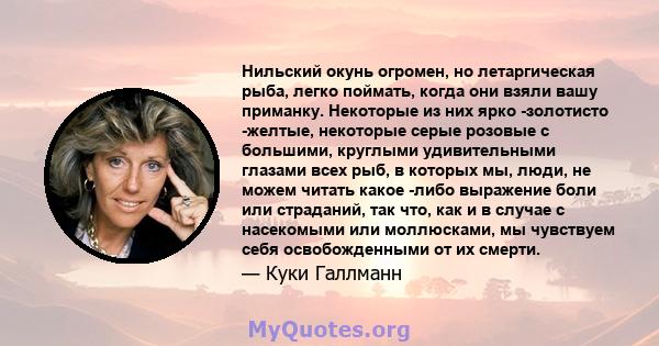 Нильский окунь огромен, но летаргическая рыба, легко поймать, когда они взяли вашу приманку. Некоторые из них ярко -золотисто -желтые, некоторые серые розовые с большими, круглыми удивительными глазами всех рыб, в