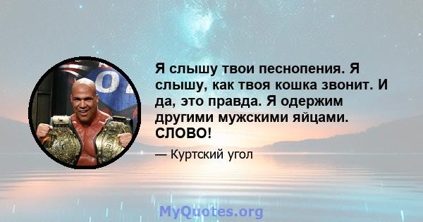 Я слышу твои песнопения. Я слышу, как твоя кошка звонит. И да, это правда. Я одержим другими мужскими яйцами. СЛОВО!