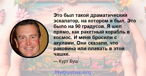 Это был такой драматический эскалатор, на котором я был. Это было на 90 градусов. Я шел прямо, как ракетный корабль в космос. И меня бросили с акулами. Они сказали, что раковина или плавать в этой чашке.