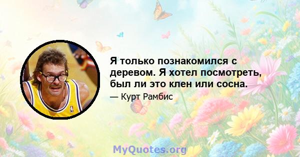 Я только познакомился с деревом. Я хотел посмотреть, был ли это клен или сосна.