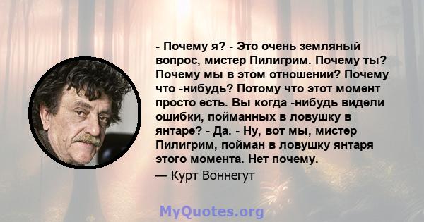 - Почему я? - Это очень земляный вопрос, мистер Пилигрим. Почему ты? Почему мы в этом отношении? Почему что -нибудь? Потому что этот момент просто есть. Вы когда -нибудь видели ошибки, пойманных в ловушку в янтаре? -