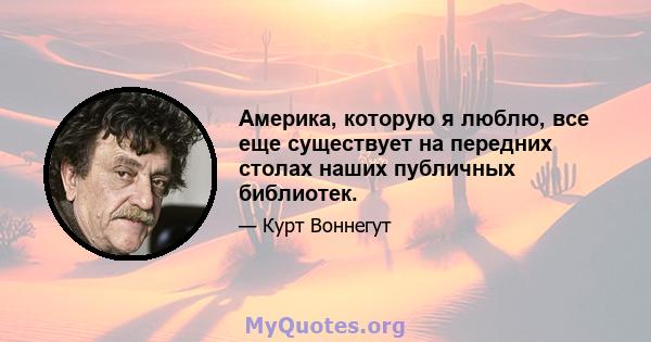 Америка, которую я люблю, все еще существует на передних столах наших публичных библиотек.