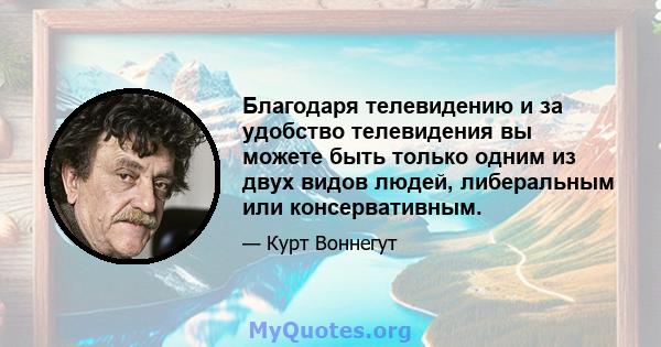 Благодаря телевидению и за удобство телевидения вы можете быть только одним из двух видов людей, либеральным или консервативным.