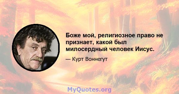 Боже мой, религиозное право не признает, какой был милосердный человек Иисус.