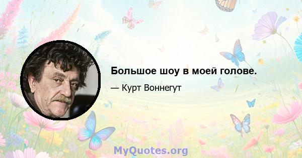 Большое шоу в моей голове.