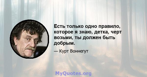 Есть только одно правило, которое я знаю, детка, черт возьми, ты должен быть добрым.