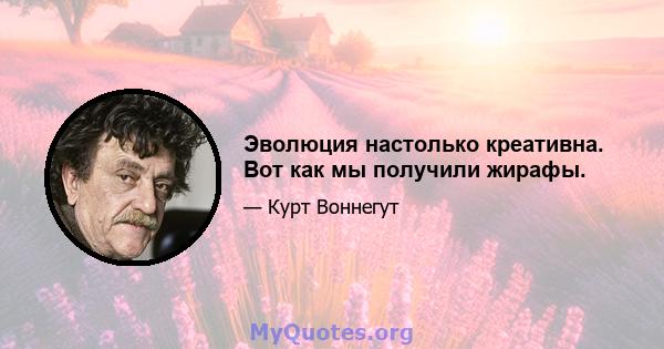 Эволюция настолько креативна. Вот как мы получили жирафы.