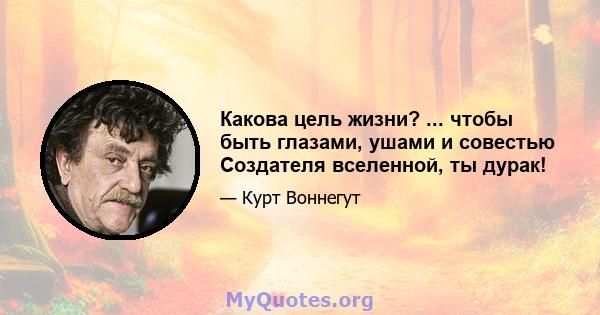 Какова цель жизни? ... чтобы быть глазами, ушами и совестью Создателя вселенной, ты дурак!