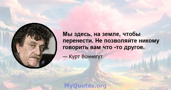 Мы здесь, на земле, чтобы перенести. Не позволяйте никому говорить вам что -то другое.