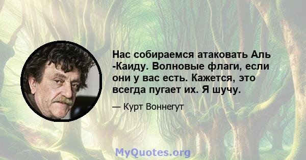 Нас собираемся атаковать Аль -Каиду. Волновые флаги, если они у вас есть. Кажется, это всегда пугает их. Я шучу.