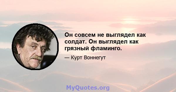 Он совсем не выглядел как солдат. Он выглядел как грязный фламинго.