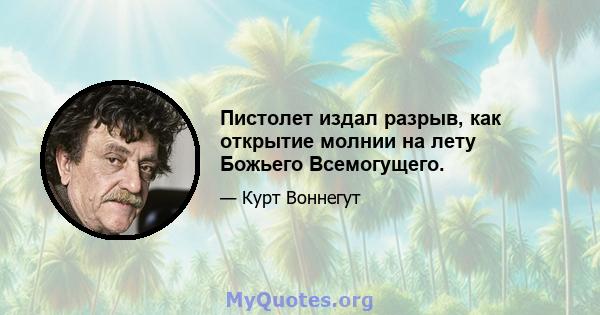 Пистолет издал разрыв, как открытие молнии на лету Божьего Всемогущего.