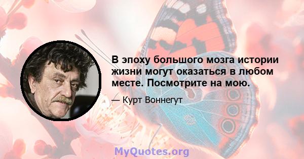 В эпоху большого мозга истории жизни могут оказаться в любом месте. Посмотрите на мою.