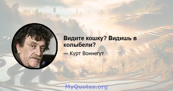 Видите кошку? Видишь в колыбели?