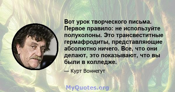 Вот урок творческого письма. Первое правило: не используйте полуколоны. Это трансвеститные гермафродиты, представляющие абсолютно ничего. Все, что они делают, это показывают, что вы были в колледже.