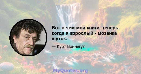 Вот в чем мои книги, теперь, когда я взрослый - мозаика шуток.