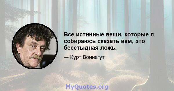 Все истинные вещи, которые я собираюсь сказать вам, это бесстыдная ложь.