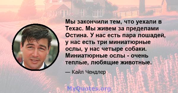 Мы закончили тем, что уехали в Техас. Мы живем за пределами Остина. У нас есть пара лошадей, у нас есть три миниатюрные ослы, у нас четыре собаки. Миниатюрные ослы - очень теплые, любящие животные.