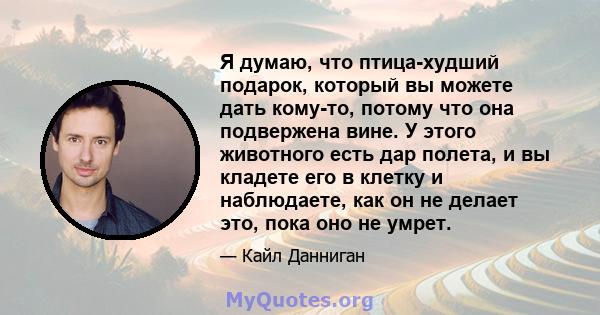 Я думаю, что птица-худший подарок, который вы можете дать кому-то, потому что она подвержена вине. У этого животного есть дар полета, и вы кладете его в клетку и наблюдаете, как он не делает это, пока оно не умрет.