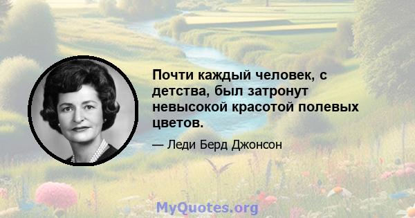 Почти каждый человек, с детства, был затронут невысокой красотой полевых цветов.