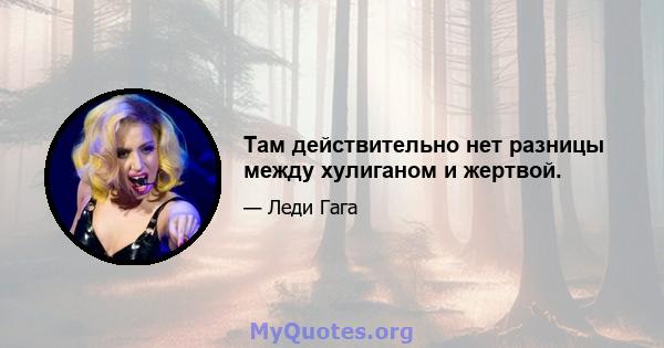 Там действительно нет разницы между хулиганом и жертвой.