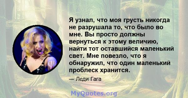 Я узнал, что моя грусть никогда не разрушала то, что было во мне. Вы просто должны вернуться к этому величию, найти тот оставшийся маленький свет. Мне повезло, что я обнаружил, что один маленький проблеск хранится.