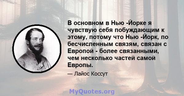 В основном в Нью -Йорке я чувствую себя побуждающим к этому, потому что Нью -Йорк, по бесчисленным связям, связан с Европой - более связанными, чем несколько частей самой Европы.