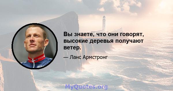 Вы знаете, что они говорят, высокие деревья получают ветер.