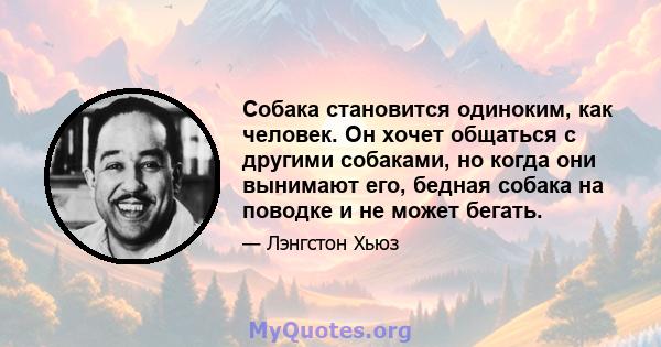 Собака становится одиноким, как человек. Он хочет общаться с другими собаками, но когда они вынимают его, бедная собака на поводке и не может бегать.