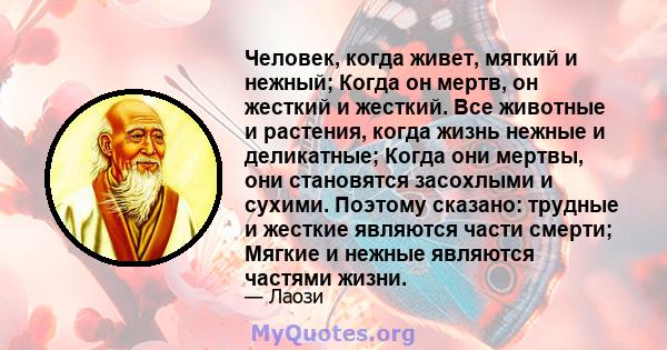 Человек, когда живет, мягкий и нежный; Когда он мертв, он жесткий и жесткий. Все животные и растения, когда жизнь нежные и деликатные; Когда они мертвы, они становятся засохлыми и сухими. Поэтому сказано: трудные и