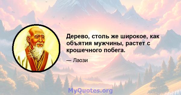 Дерево, столь же широкое, как объятия мужчины, растет с крошечного побега.