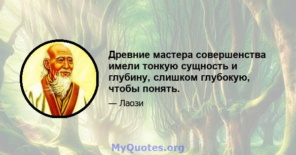 Древние мастера совершенства имели тонкую сущность и глубину, слишком глубокую, чтобы понять.