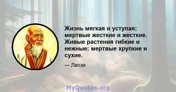 Жизнь мягкая и уступая; мертвые жесткие и жесткие. Живые растения гибкие и нежные; мертвые хрупкие и сухие.