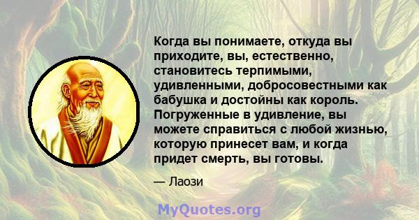 Когда вы понимаете, откуда вы приходите, вы, естественно, становитесь терпимыми, удивленными, добросовестными как бабушка и достойны как король. Погруженные в удивление, вы можете справиться с любой жизнью, которую