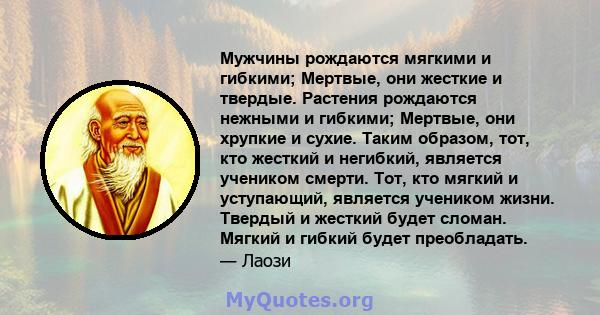 Мужчины рождаются мягкими и гибкими; Мертвые, они жесткие и твердые. Растения рождаются нежными и гибкими; Мертвые, они хрупкие и сухие. Таким образом, тот, кто жесткий и негибкий, является учеником смерти. Тот, кто