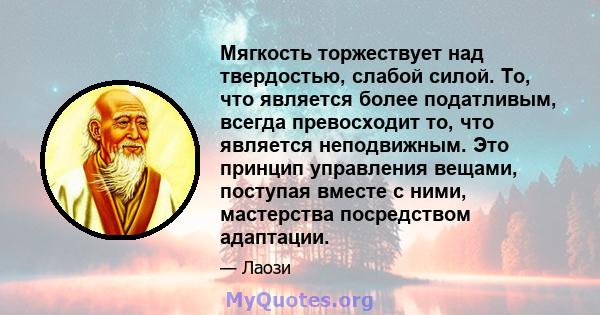 Мягкость торжествует над твердостью, слабой силой. То, что является более податливым, всегда превосходит то, что является неподвижным. Это принцип управления вещами, поступая вместе с ними, мастерства посредством