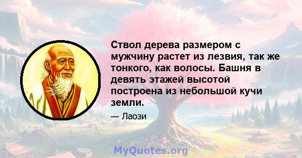 Ствол дерева размером с мужчину растет из лезвия, так же тонкого, как волосы. Башня в девять этажей высотой построена из небольшой кучи земли.