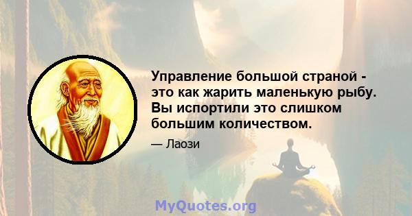 Управление большой страной - это как жарить маленькую рыбу. Вы испортили это слишком большим количеством.