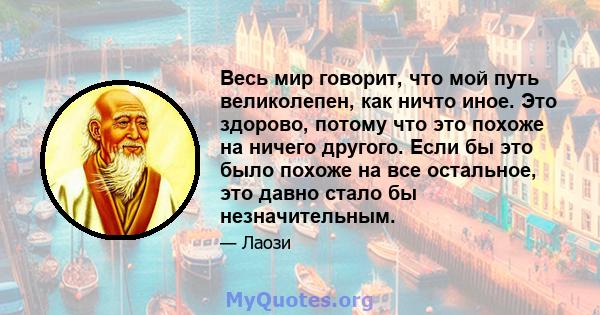 Весь мир говорит, что мой путь великолепен, как ничто иное. Это здорово, потому что это похоже на ничего другого. Если бы это было похоже на все остальное, это давно стало бы незначительным.