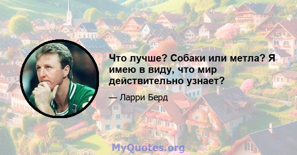 Что лучше? Собаки или метла? Я имею в виду, что мир действительно узнает?