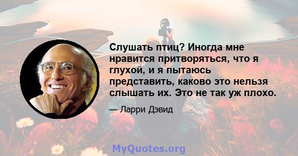 Слушать птиц? Иногда мне нравится притворяться, что я глухой, и я пытаюсь представить, каково это нельзя слышать их. Это не так уж плохо.