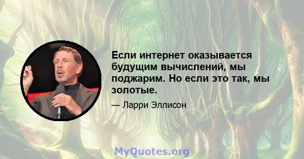 Если интернет оказывается будущим вычислений, мы поджарим. Но если это так, мы золотые.