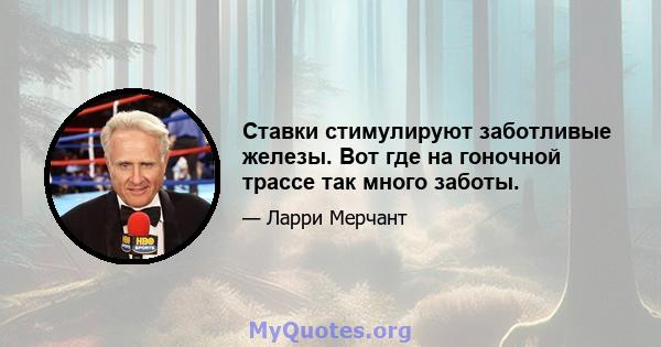 Ставки стимулируют заботливые железы. Вот где на гоночной трассе так много заботы.