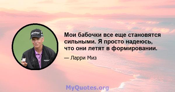 Мои бабочки все еще становятся сильными. Я просто надеюсь, что они летят в формировании.