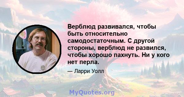 Верблюд развивался, чтобы быть относительно самодостаточным. С другой стороны, верблюд не развился, чтобы хорошо пахнуть. Ни у кого нет перла.