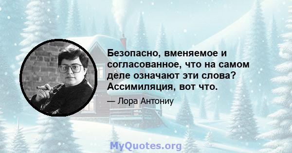 Безопасно, вменяемое и согласованное, что на самом деле означают эти слова? Ассимиляция, вот что.