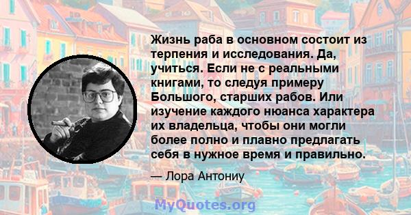 Жизнь раба в основном состоит из терпения и исследования. Да, учиться. Если не с реальными книгами, то следуя примеру Большого, старших рабов. Или изучение каждого нюанса характера их владельца, чтобы они могли более